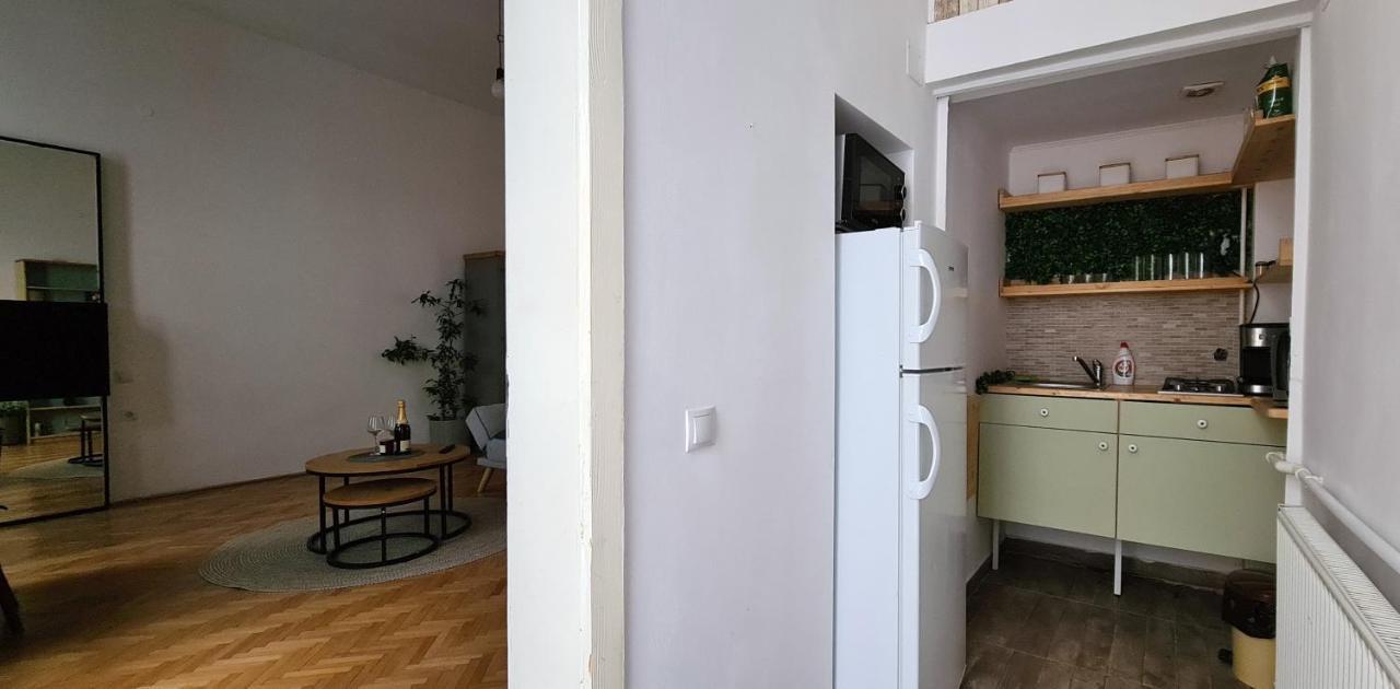 Zeiss House Apartment Brasov Bagian luar foto