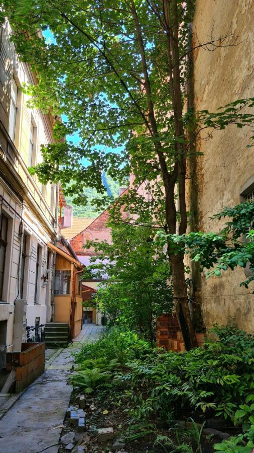 Zeiss House Apartment Brasov Bagian luar foto